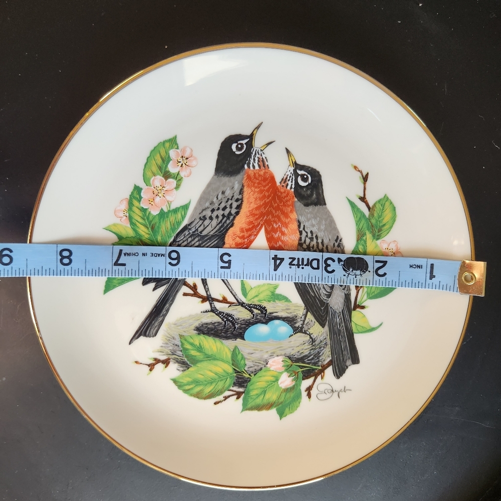 Spring Robin plate - Picture 3 of 3